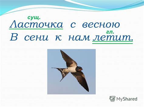 Традиционная поговорка: "в сени к нам летит"