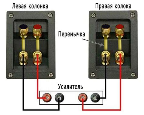 Убедитесь в правильном подключении аудиокабелей