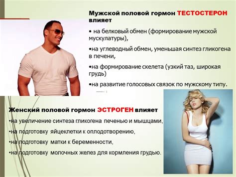 Физиологическая особенность и чувствительные зоны в женском организме