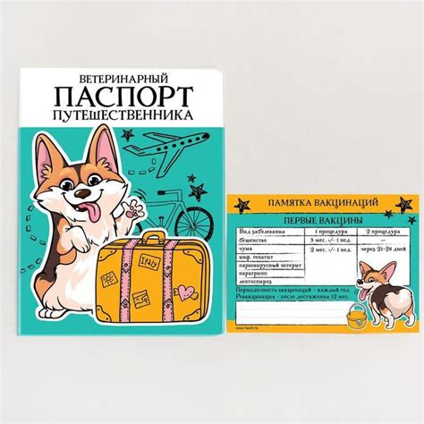 Характеристики путешественника