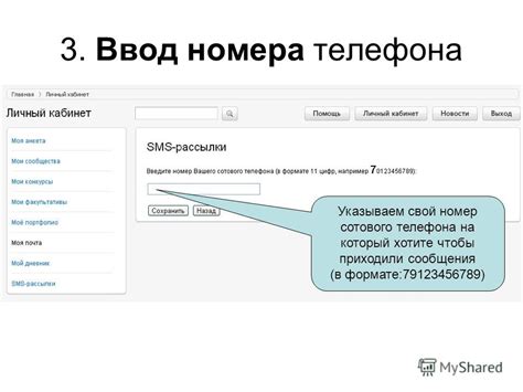 Шаг 3: Ввод номера микрочипа на сайте регистрационной базы